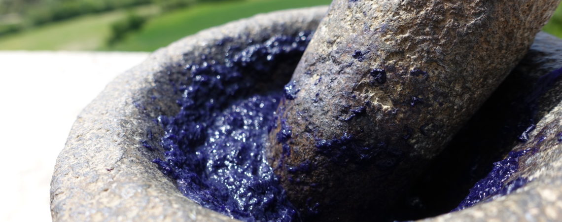 Broyage au mortier en pierre de fleurs d'iris violet fraîches