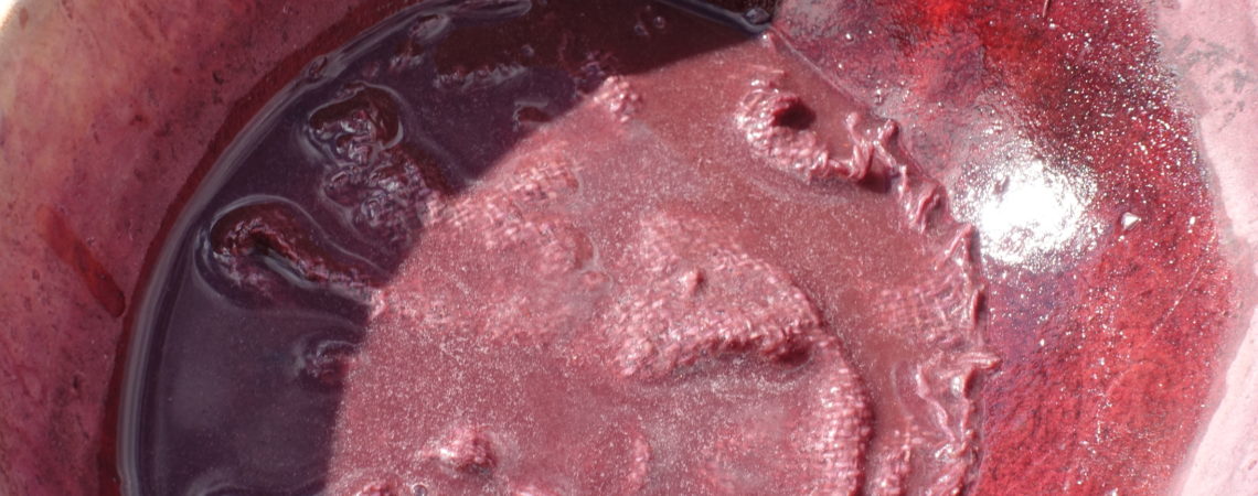 Macération d'un tissu de chanvre dans un bain de teinture de baies de vigne vierge