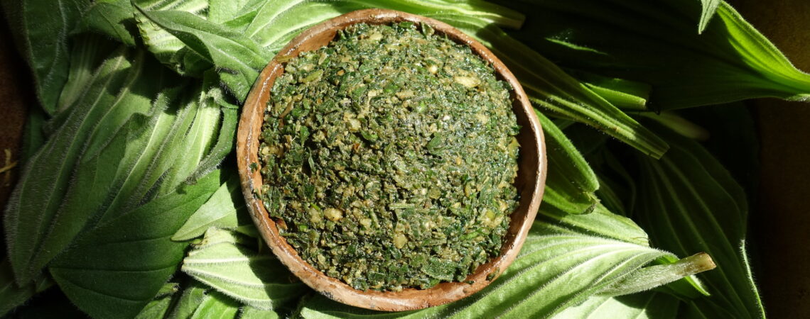 Pesto de feuilles de plantain dans une coupelle en terre cuite