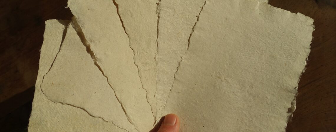 Échantillons de feuilles de papier de mûrier